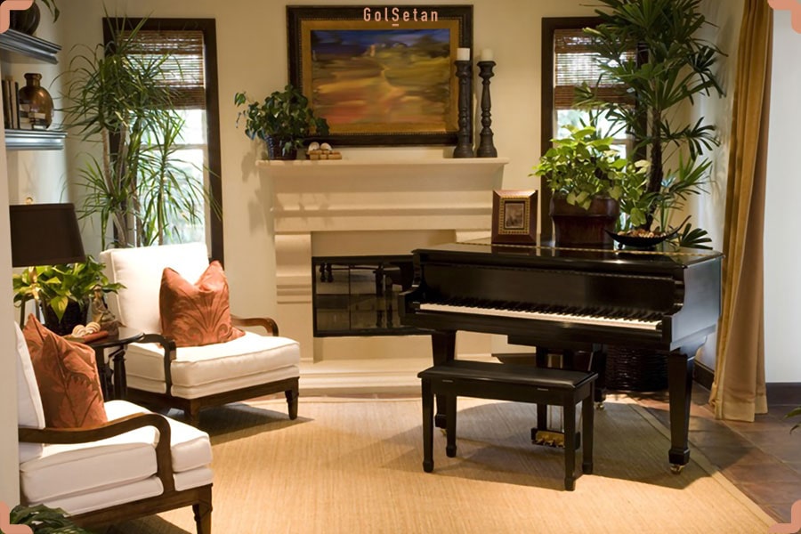 عکس یک خانه زیبا با گیاهان و پیانو زیبا