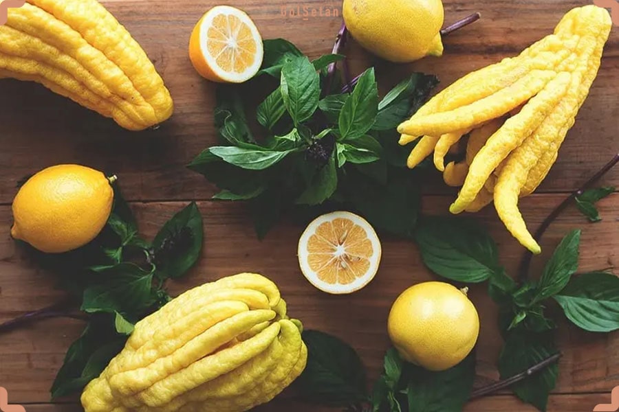 روش نگهداری از ترنج