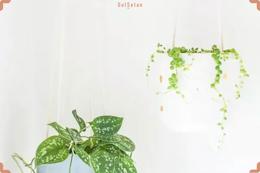 گلدان های نامتقارن ، ایده‌ ای متفاوت برای گلدان آویزی