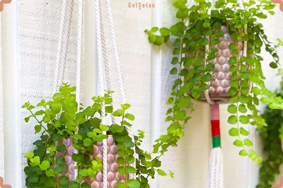 ایده گلدان آویزی سنگی