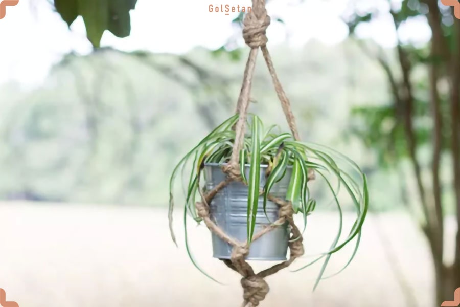 ایده گلدان آویز مکرومه بافی با کنف