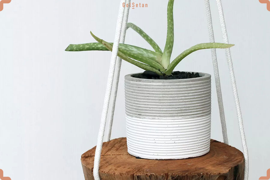 عکس گلدان آویزی طنابی