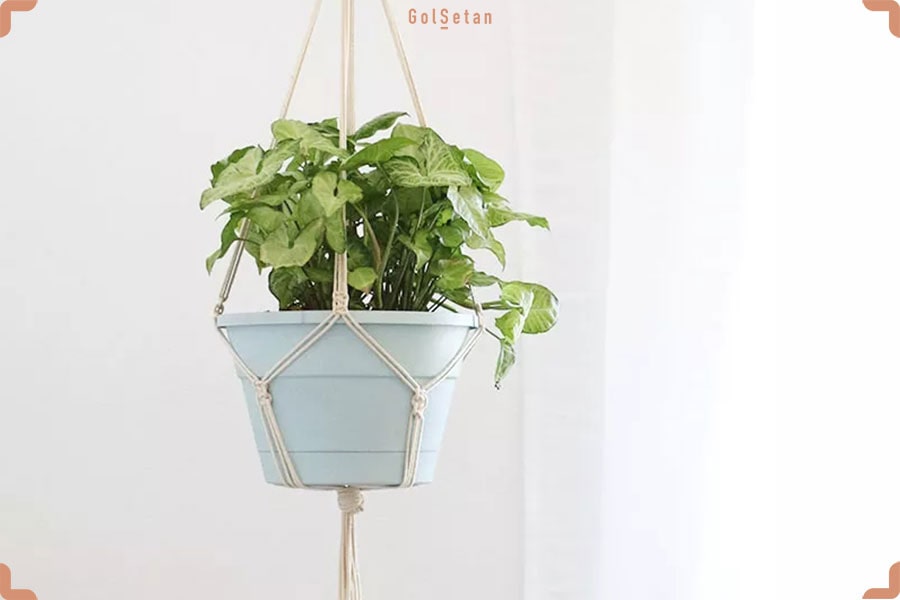 گلدان آویزی ساده با مکرومه