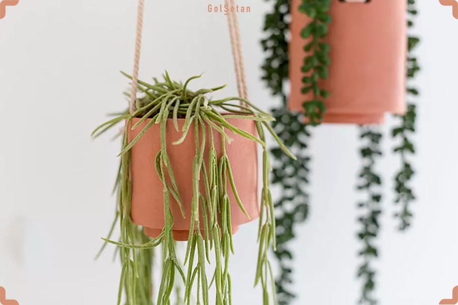 ایده ساخت گلدان آویزی با گلدان سفالی ، زیبایی در عین سادگی