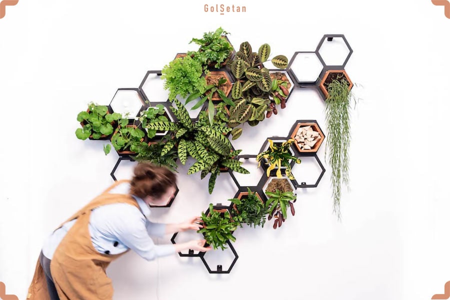 آموزش ساخت باغچه دیواری