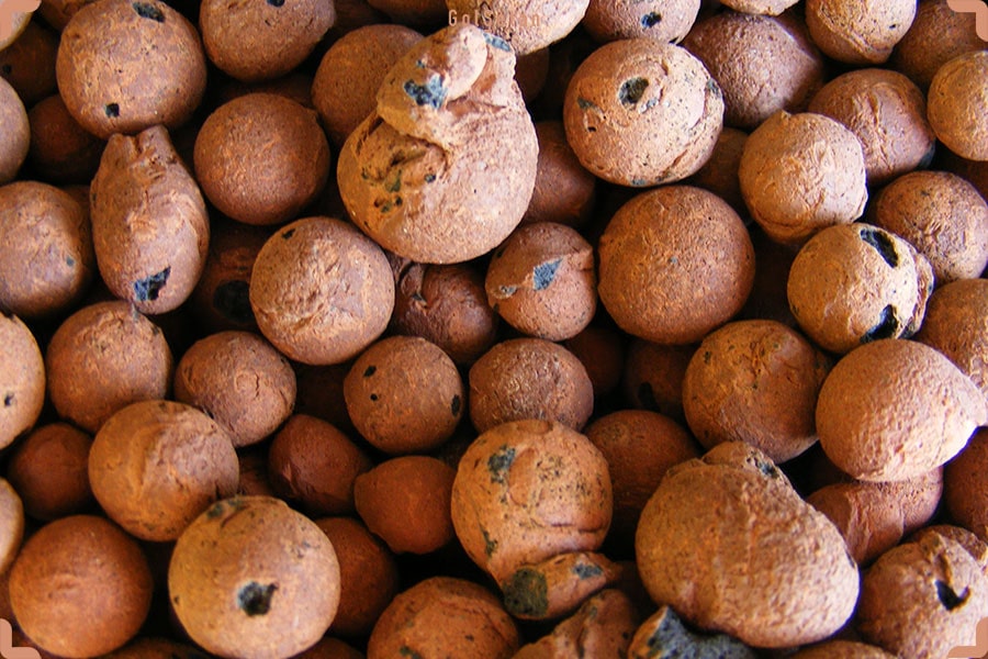 خاک های رسی منبسط شده یا لیکا ، یک انتخاب خوب برای مالچ خاک گل ارکیده