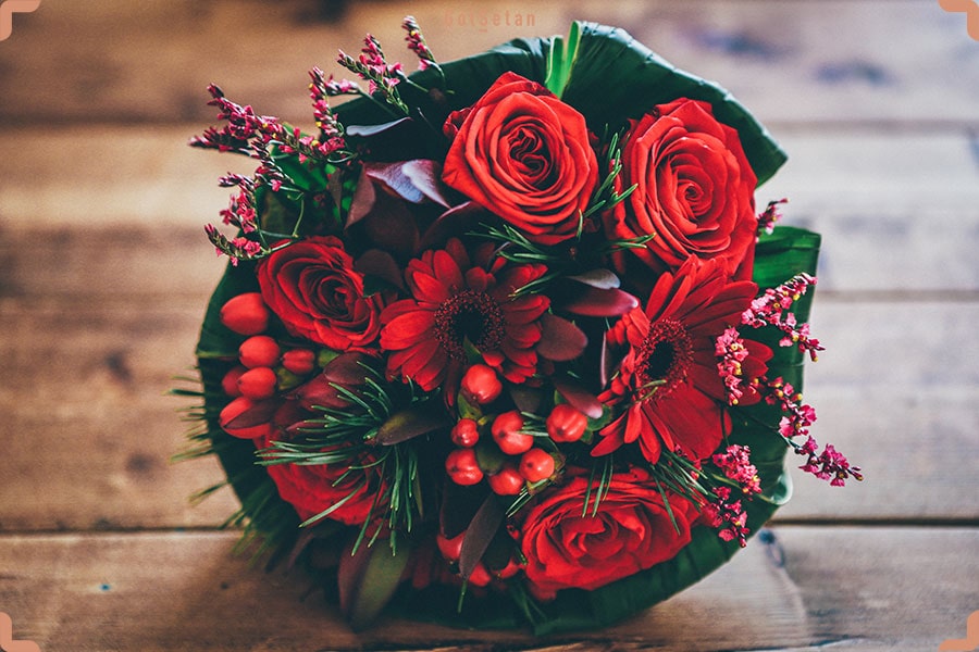 گل های مناسب روز پرستار برای ابزار عشق