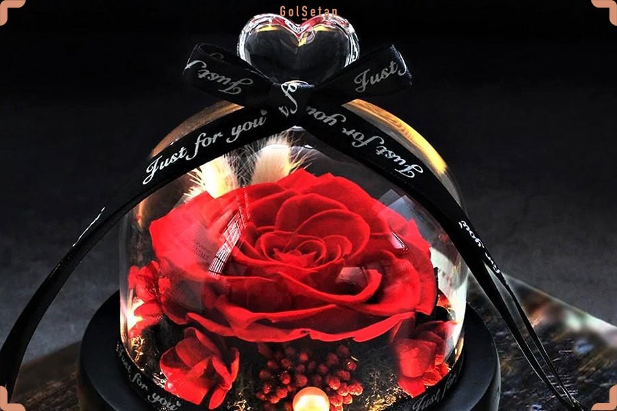 رز جاودان ، یک ایده رمانتیک و خاص برای هدیه کریسمس