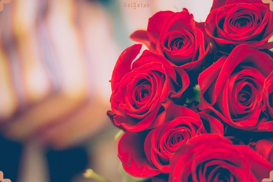 گل های مناسب روز زن برای ابراز عشق و علاقه