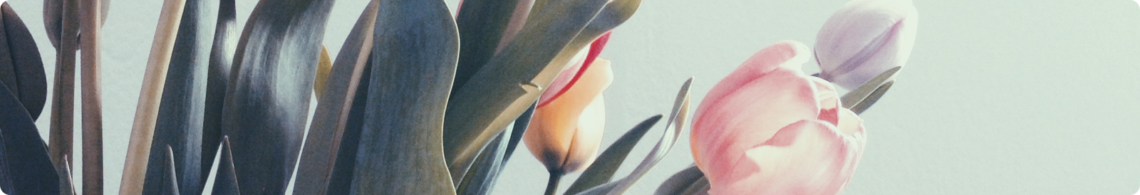 فروشگاه اینترنتی گل