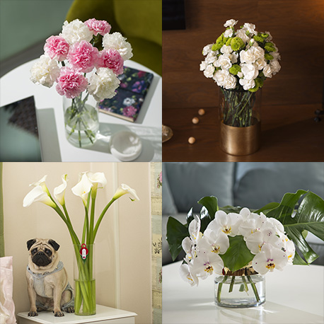 اشتراک گل های متنوع