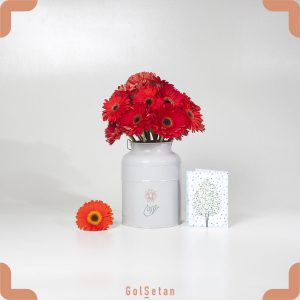 دسته گل ژربرا