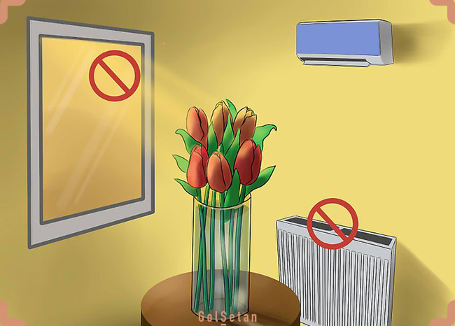 دسته گل لاله دور از نور