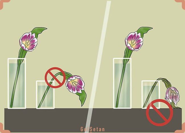 گلدان نامناسب برای گل لاله