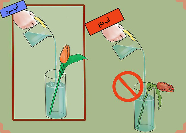 دمای آب گل لاله