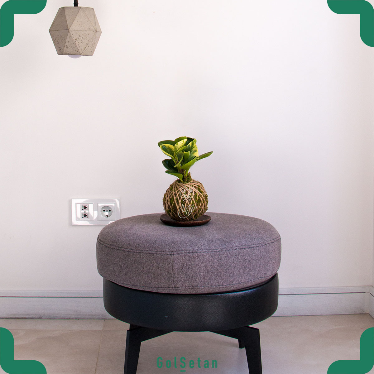 kokedama-radiator-plants (1) دیزاین کوکداما