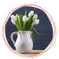 گل لاله سفید