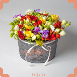 باکس گل فریزیا