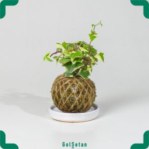 کوکداما هدرا