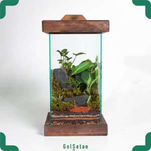 تراریوم سوپر اسکوئر با استند نور