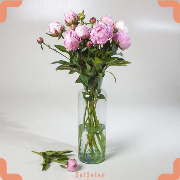 دسته گل لاکچری پیونی