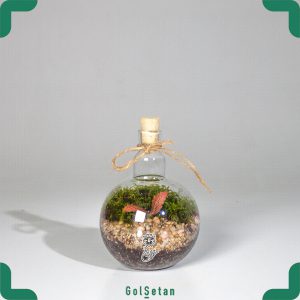 شیشه تراریوم