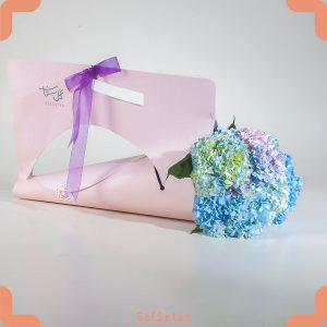 گل هورتانسیا