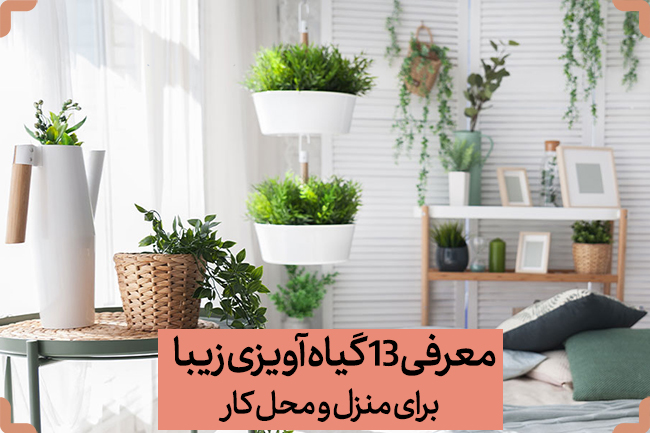 انواع گلهای آویزی