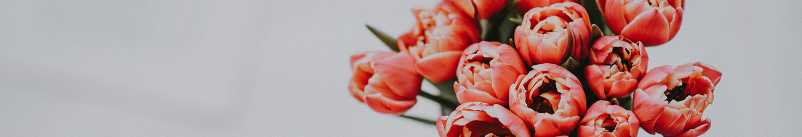 خرید اشتراک گل هفتگی