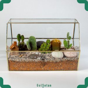 تراریوم باغ کاکتوس