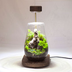 ارسال هدیه به ایران