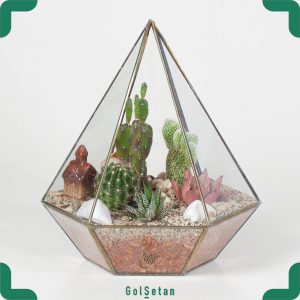 تراریوم نیمه باز آریزونا