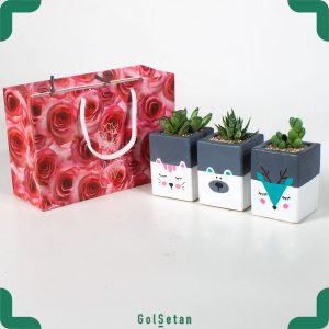 گلدان کودکانه و عروسکی