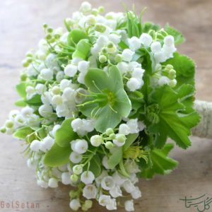 گل موگه Convallaria majalis