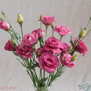 گل لیسیانتوس Lisianthus