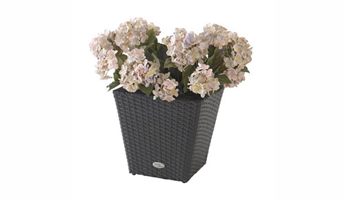 گلدان فایبرگلاس برای گیاهان آپارتمانی