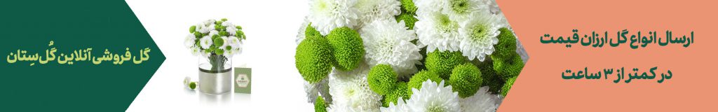 گل فروشی ارزان