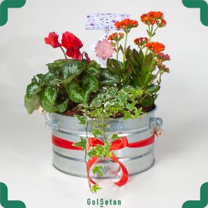 گلدان باغ گلها با گیاهان گلدار زیبا