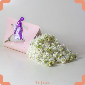 گل معطر شب بو سفید رنگ برای هدیه
