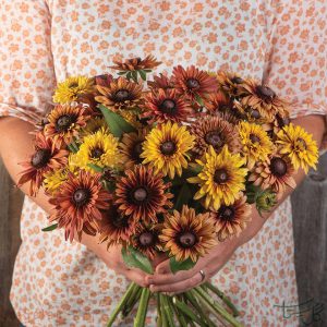 گل کوکب کوهی Rudbeckia ( Black - eyed Susan)