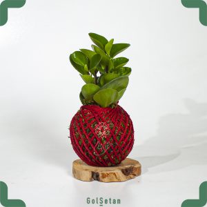 کوکداما قاشقی با تم قرمز