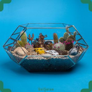 تراریوم کودک کمند زیبا و جذاب