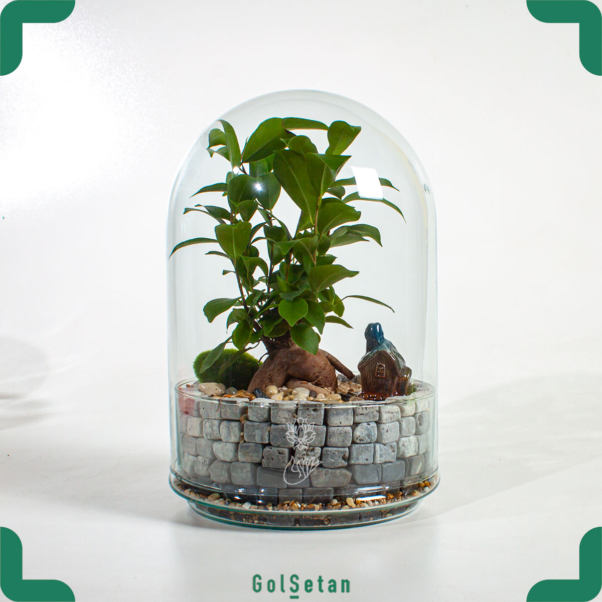 bonsai-terrarium-with-castle-theme تراریوم بونسای قلعه