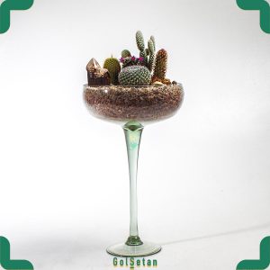 دیش گاردن جام شیشه ای
