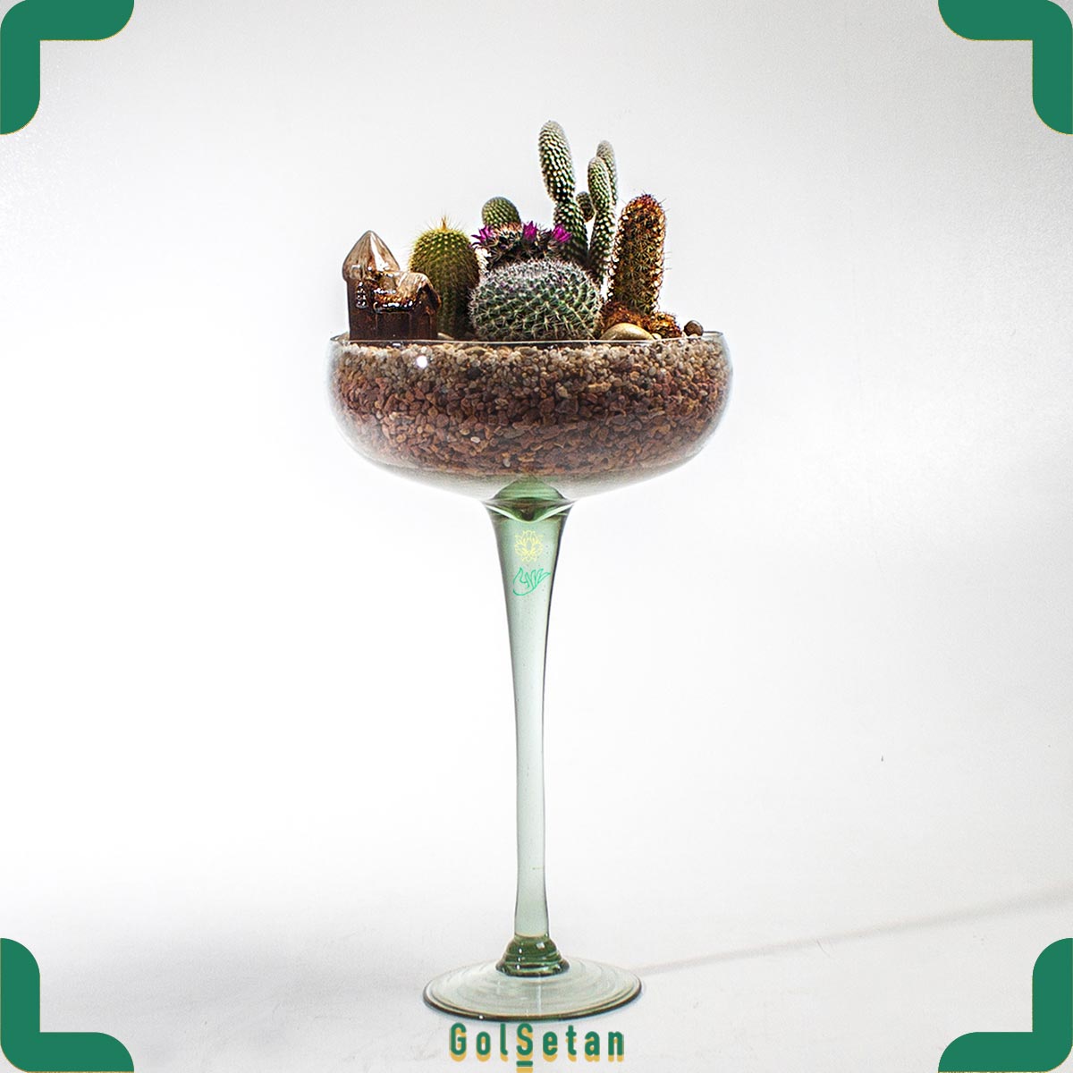 dish-garden-glass-cup دیش گاردن جام شیشه ای