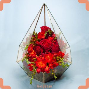 باکس گل فریزیا