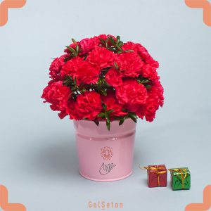 باکس گل میخک