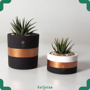 ست گلدان ساکولنت یادگار