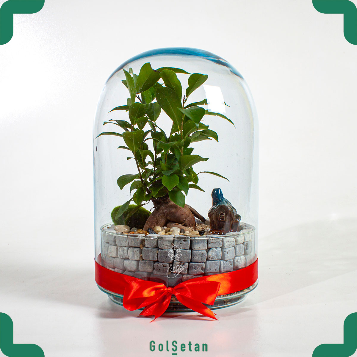 bonsai-terrarium-with-castle-theme-with-red-ribbon تراریوم بونسای قلعه با روبان قرمز