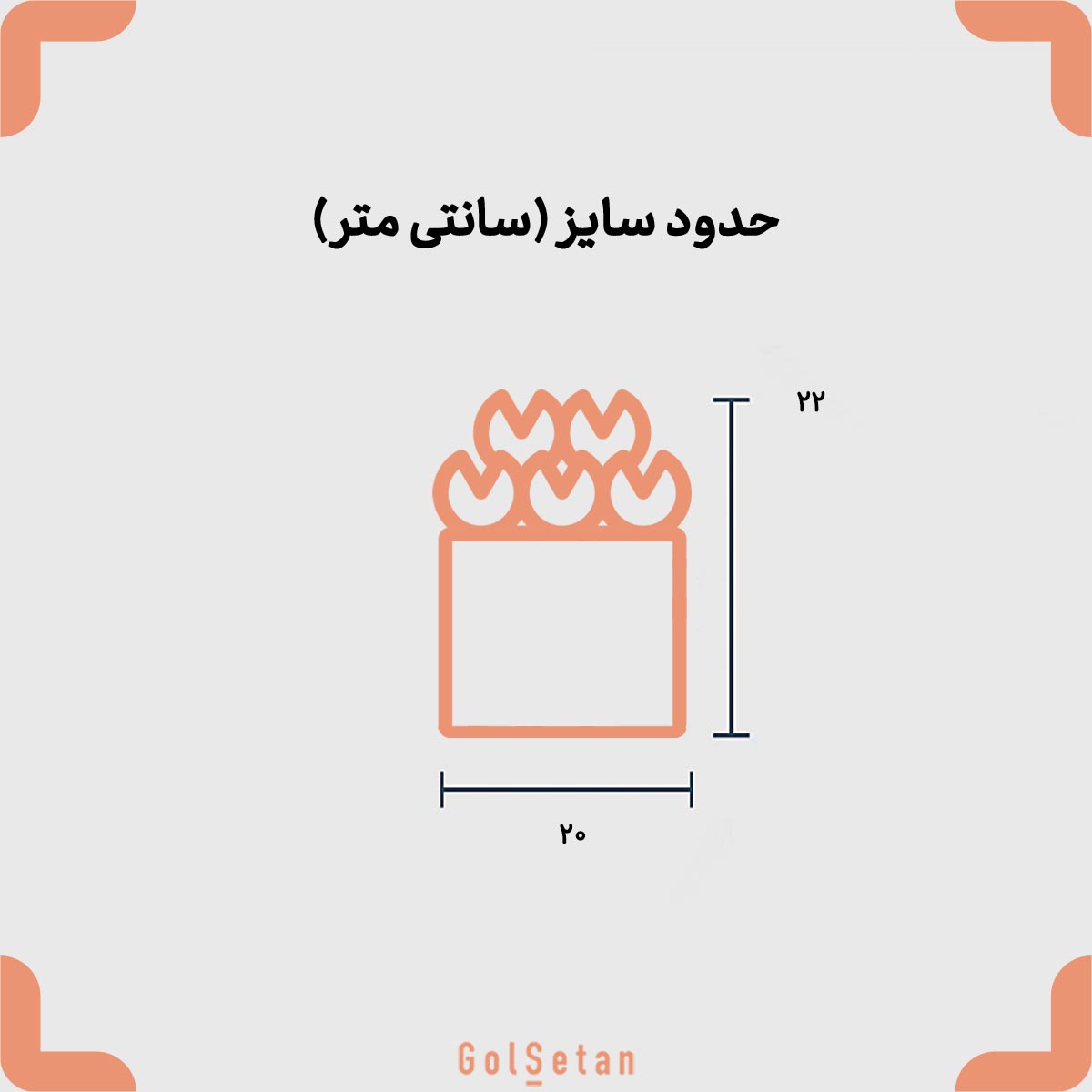 white-rose-and-wheat-flower-box-size سایز باکس گل رز و گندم